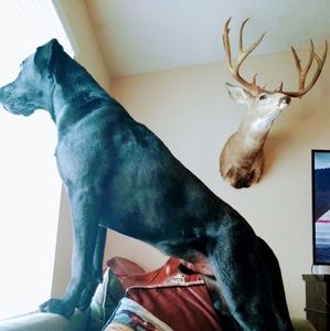 Meet your Posher, Kris